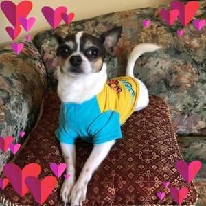 Meet your Posher, Helen